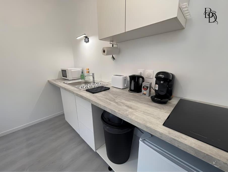 T1 Bis Appartement B3 30M2 Cosy 7Min A Pieds Des Gares Roanne Eksteriør bilde