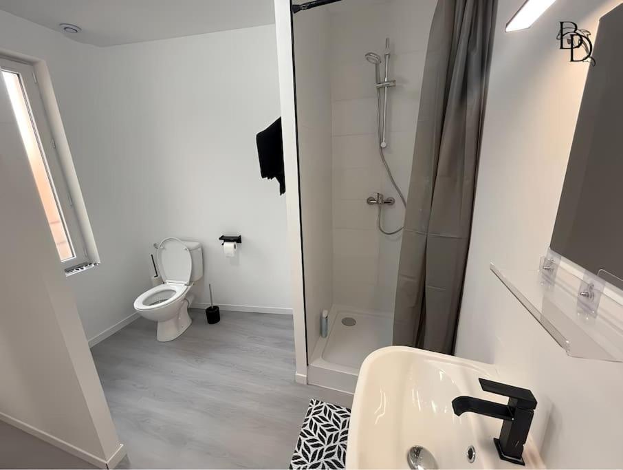 T1 Bis Appartement B3 30M2 Cosy 7Min A Pieds Des Gares Roanne Eksteriør bilde
